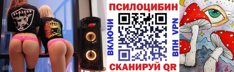 Галлюциногенные грибы MAGIC MUSHROOMS  Купить закладки  Хабаровск 